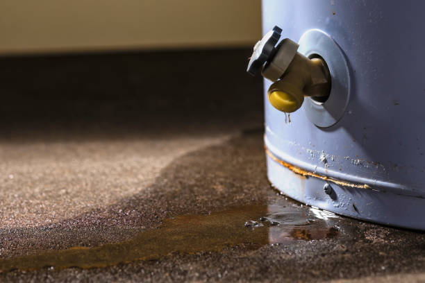 Best Flooded house restoration  in Barker Heights, NC