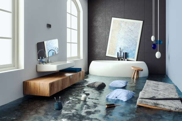 Best Mold removal after water damage  in Barker Heights, NC