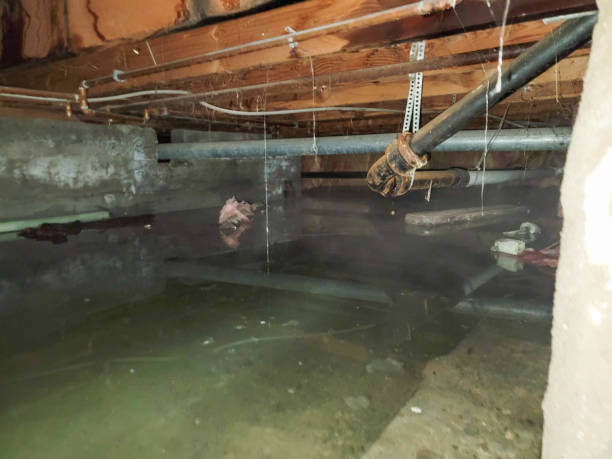 Fire Damage Restoration in Barker Heights, NC