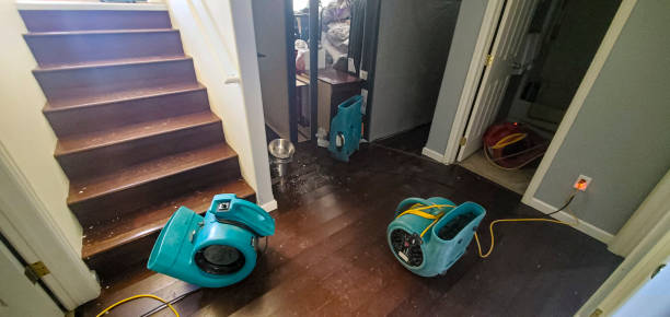 Best Flood restoration services  in Barker Heights, NC