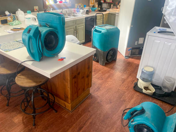 Best Carpet water damage restoration  in Barker Heights, NC
