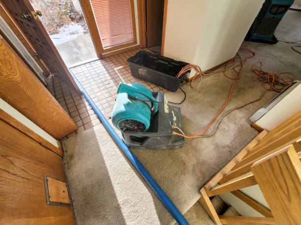 Best Flood restoration services  in Barker Heights, NC