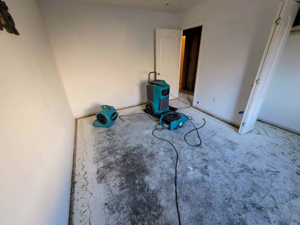Best Water damage cleanup near me  in Barker Heights, NC