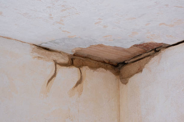 Best Commercial water damage restoration  in Barker Heights, NC