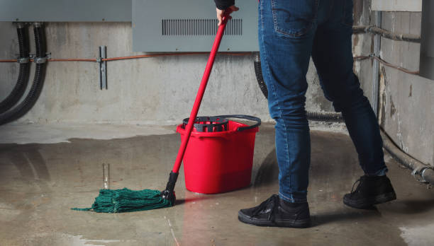 Best Water damage restoration experts  in Barker Heights, NC