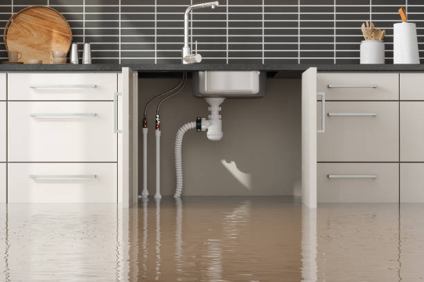 Best Local water damage restoration  in Barker Heights, NC