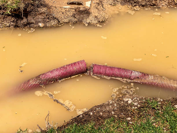Best Flood restoration services  in Barker Heights, NC
