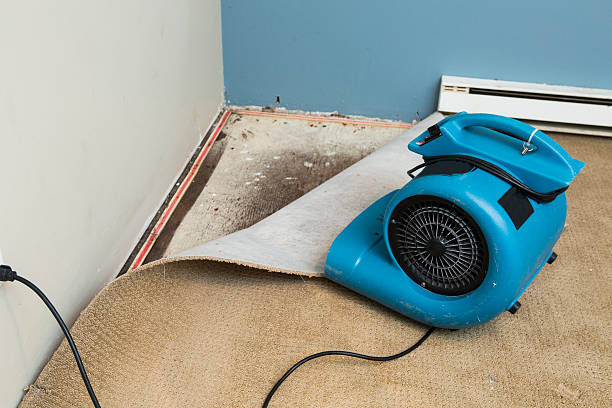 Best Water damage restoration near me  in Barker Heights, NC